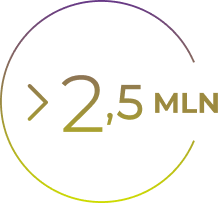 Number of loans issued annually